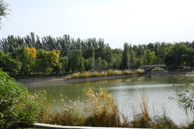 公园风景  