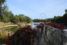 公园风景