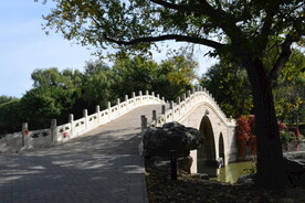公园风景
