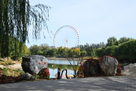 公园风景 