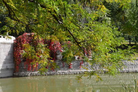 公园风景 