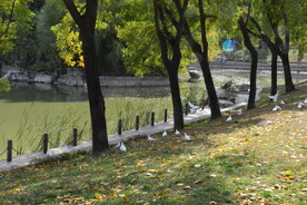 公园风景