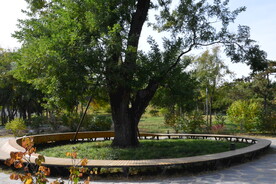 公园风景