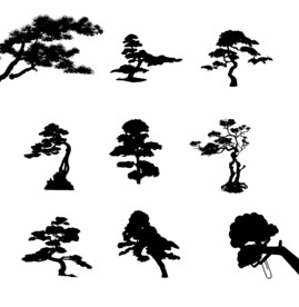 迎客松素材