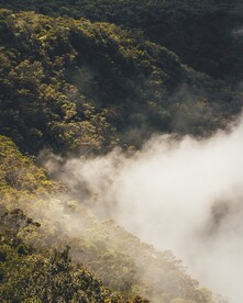 山林风景