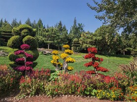 公园风景