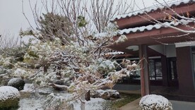 冬季雪景雪天复古建筑园林