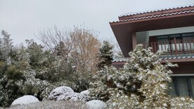 冬季雪景雪天古建筑园林