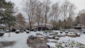 冬季雪景雪天园林