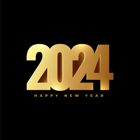 矢量2024