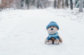 雪中的小熊