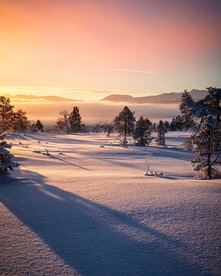 雪中夕阳