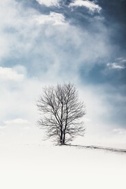  雪景 