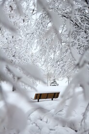 雪景 