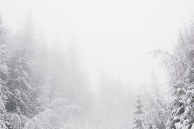 雪景