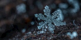 雪花 