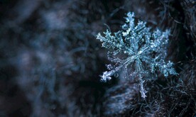 雪花