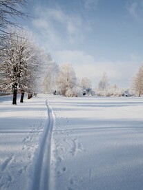 雪景