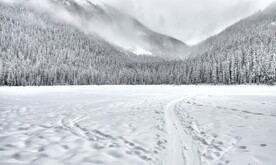 冰天雪地