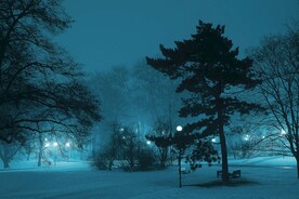 雪中夜色