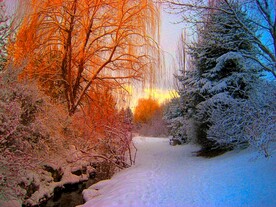 雪中黄昏
