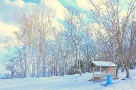 雪景 