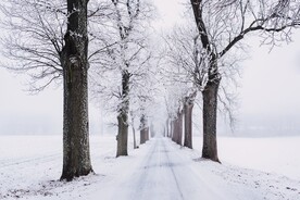 雪中小路