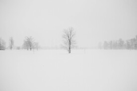 漫天大雪