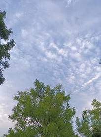 蓝色天空