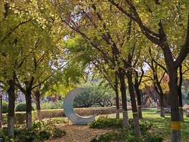 公园风景 