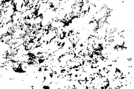 泼墨斑点