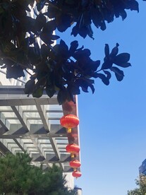 红灯笼