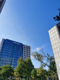城市天空