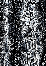 蛇纹 黑色 四方连续