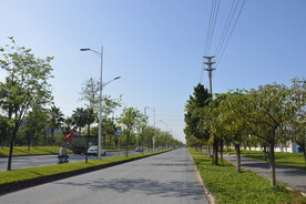 城市绿化