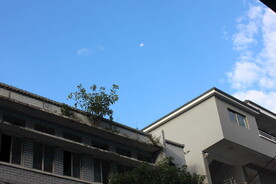 老房屋顶