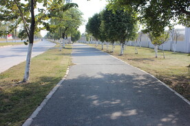 林间小路