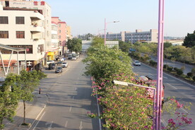 城市绿化