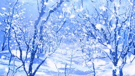 雪花纷飞的树林