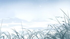 冬天麦穗雪花飞舞