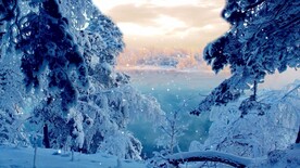 唯美浪漫雪景雪花飘落雪松婚礼