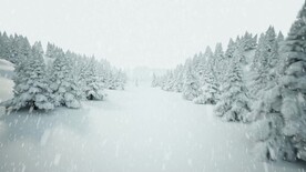 下雪的圣诞树森林