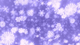 白大紫雪花