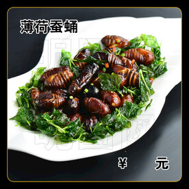 薄荷蚕蛹