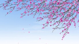 风景视频    