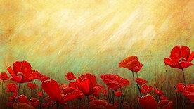 卡通花开