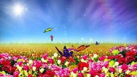 唯美意境花海     