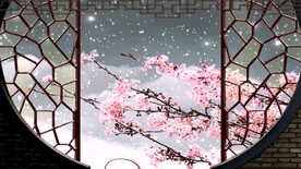 中国风墙外雪中梅花