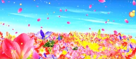 唯美意境花海     