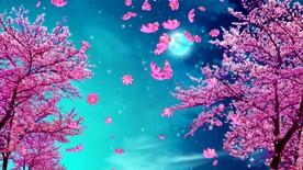 唯美意境花海     